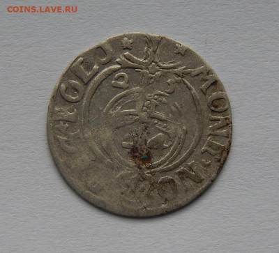 Полторак 1625 года. Польша - DSCN2986.JPG