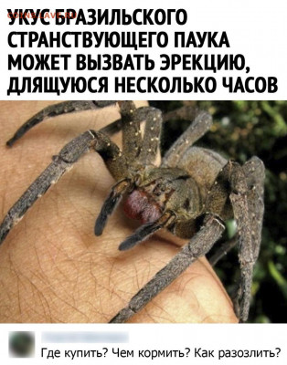 юмор - Yp_CSeOMjcA