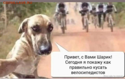 юмор - IMG-20210725-WA0002