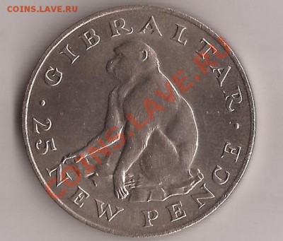 Гибралтар 25 пенсов (обезьяна)-до28.10.11 в 22.00 - Scan 23