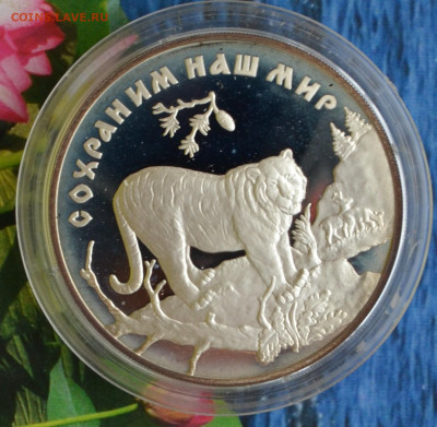 3 рубля сохраним наш мир тигр - DSC_0046.JPG