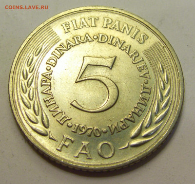5 динар 1970 ФАО Югославия №3 01.08.2021 22:00 МСК - CIMG9728.JPG