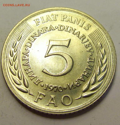 5 динар 1970 ФАО Югославия №4 01.08.2021 22:00 МСК - CIMG9732.JPG