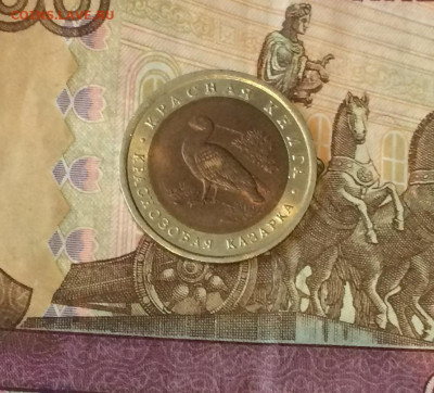 10 рублей 1992г. Красная книга.Казарка. до 02.08.21 - IMG_6493.JPG