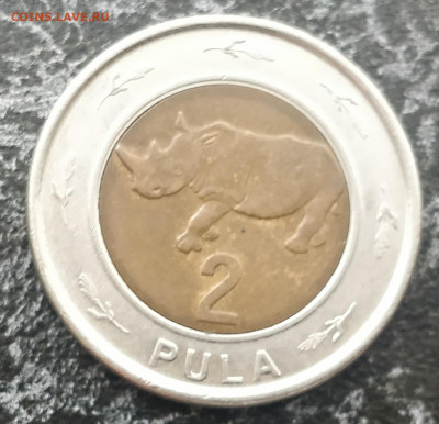 (АКЦИЯ) БОТСВАНА 2 пулы 2013 (БИМ) с РУБЛЯ до 31.07.21 - IMG_20210728_142324__01