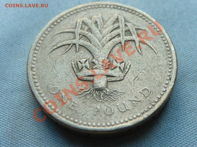 БРИТАНИЯ 1 ФУНТ  1990г.ЛУК ПОРЕЙ  до 29.10.11 в 22-00 - MEMO0020.JPG