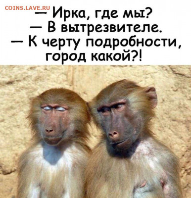 юмор - 75ac2ad35d434eb4b49b1a4f4100aa0d