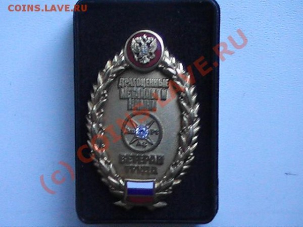 Знак Ветерана Труда - ВТ (а).JPG