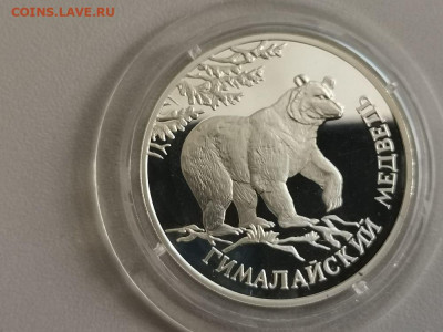 1р 1994г Гималайский медведь- пруф серебро Ag900, до 08.08 - Y Медведь-1