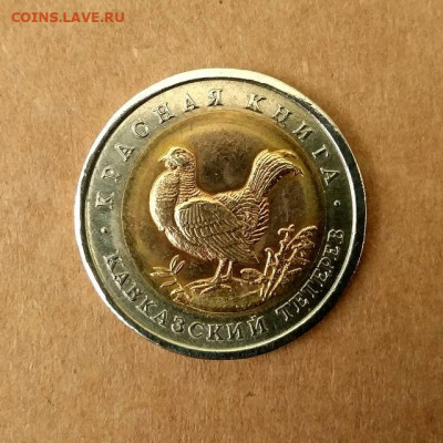 50 рублей 1993. Кавказский тетерев до 04.08 в 22.00 мск - 1