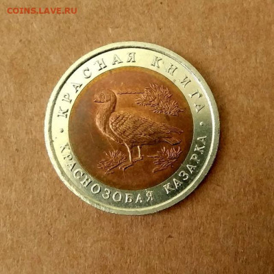 10 рублей 1992 г. Краснозобая казарка. до 04.08 в 22.00 мск - 1