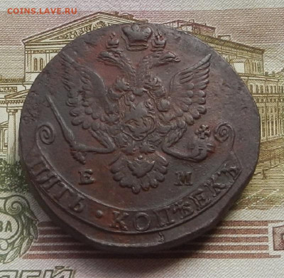 5 коп. 1784 г. ЕМ до 05.08 в 22.00. - DSCN8611.JPG