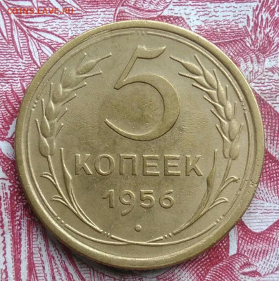 5 копеек 1956 года до 06.08.2021 - IMG_20210620_224232
