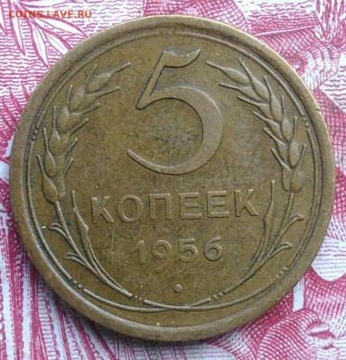 5 копеек 1956 года до 06.08.2021 - IMG_20210620_232936