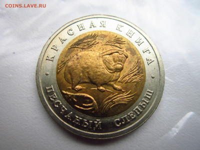 кк Слепыш 50 руб 1994 до 08.08.21 в 22:30 - IMG_7867.JPG