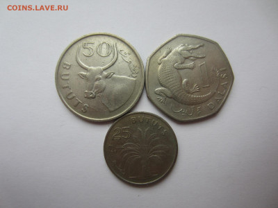 ГАМБИЯ - 3 шт. до 9.08 в 22.00 мск - IMG_2142.JPG