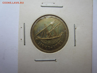 КУВЕЙТ - 2 шт. до 9.08 в 22.00 мск - IMG_2221.JPG