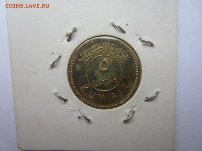 КУВЕЙТ - 2 шт. до 9.08 в 22.00 мск - IMG_2223.JPG