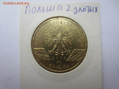 ПОЛЬША 2 злотых 2010 Летучая мышь до 9.08 в 22.00 мск - IMG_2224.JPG