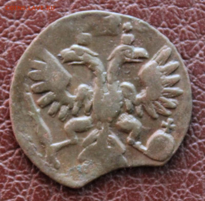 полушка 1737. московский тип. до 8.08.2021г. в 22:00 мск. - IMG_6563.JPG