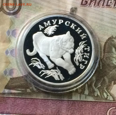 1 рубль 1993 г. Красная книга.Тигр.до 08.08.21 - IMG_6264.JPG