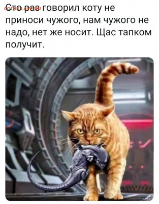 юмор - 210603