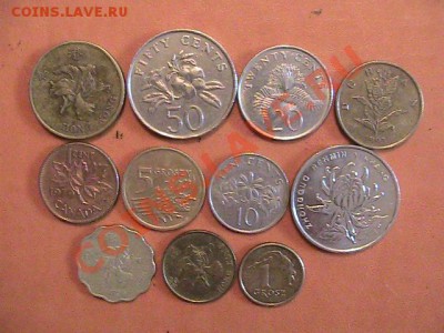11 монет с флорой до 27.10.2011 - 22.00 - IMG_0798.JPG