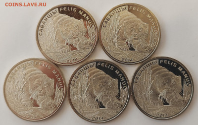 Казахстан Манул 5шт с 200р до 12.08.2021 в 22.00 - Манул