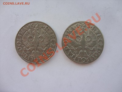 Иностранные монеты 1850-1940 годов (пополн. тема) - 50 грошей 1923 - 2.JPG