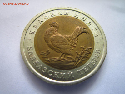 кк Тетерев 50 руб 1993 до 15.08.21 в 22:30 - IMG_7921.JPG