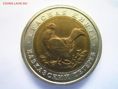 кк Тетерев 50 руб 1993 до 15.08.21 в 22:30 - IMG_7920.JPG