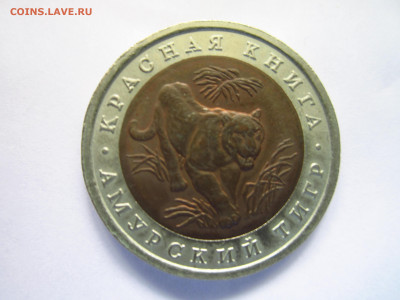 кк Тигр 10 руб 1992 до 15.08.21 в 22:30 - IMG_7932.JPG