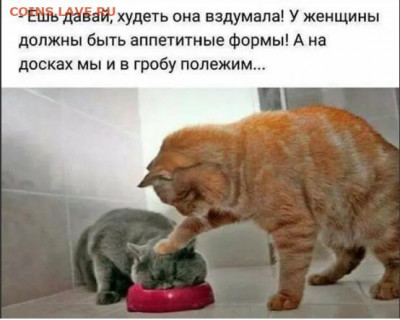 юмор - Безымянный