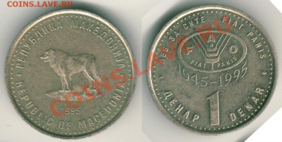 FAO Македония 1 динар 1995 до 22-00 МСК 26.10.11 - makedon1d1995
