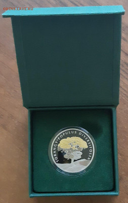 Туранга пруф - Туранга пруф 2