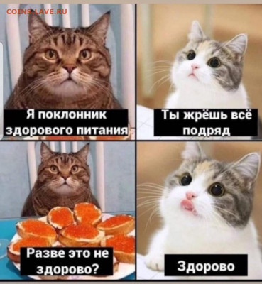 юмор - Screenshot_20210813-072226_Instagram
