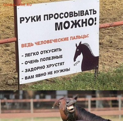 юмор - IMG-20210815-WA0010