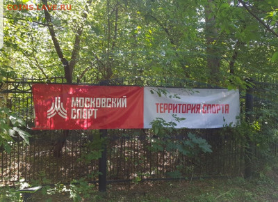делает - прямо сейчас !!! - Screenshot_20210816-072804_Gallery