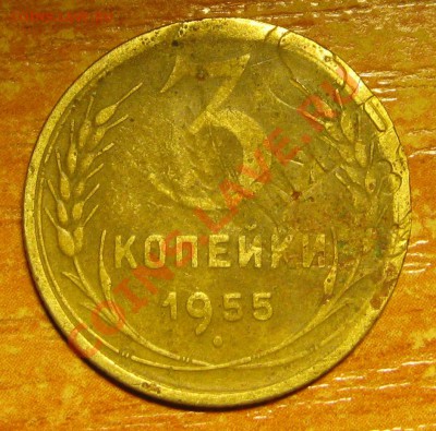 3 коп. 1955, Рукоблуд? - IMG_1158.JPG