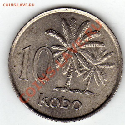 Нигерия 10 кобо 1973 до 27.10.11 в 22.00мск (545) - img847