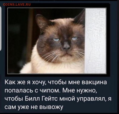 N-CoV(CoronaVirus) КоронаВирус.Последние новости - Screenshot_20210819-182935_Instagram