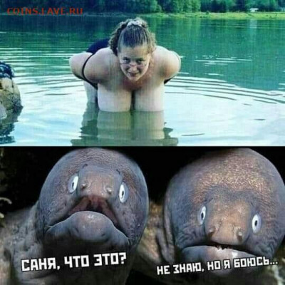 юмор - WhatsApp Image 2021-08-20 at 11.08.32