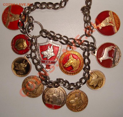 Собачьи медали СССР - Собачьи медали.JPG