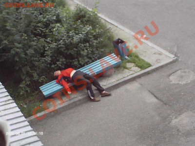 ФОТО - просто фото. Те что получились удачными. - 217_show