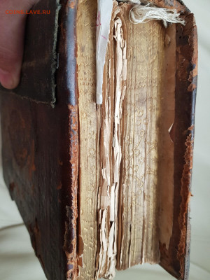 старинная книга. псалтырь. до 24.08. - 20210807_164908