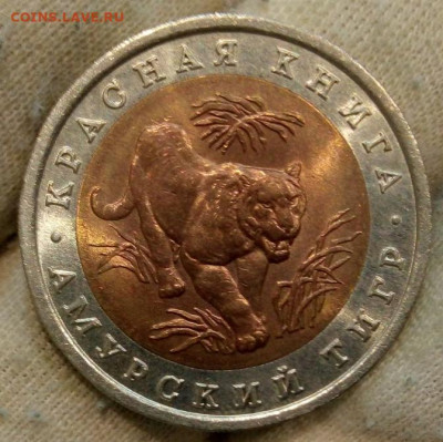 Красная книга 1992г Амурский тигр до 2:30мск 24.08.21 - IMG_20210821_153807