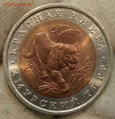 Красная книга 1992г Амурский тигр до 2:30мск 24.08.21 - IMG_20210821_153748