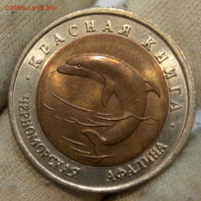 Красная книга 1993 Черноморская афалина до 22:30мск 24.08.21 - IMG_20210821_154120