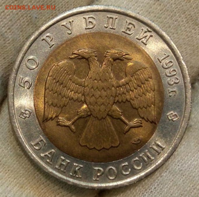 Красная книга 1993 Черноморская афалина до 22:30мск 24.08.21 - IMG_20210821_154046