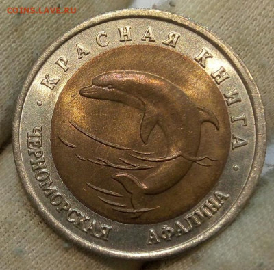 Красная книга 1993 Черноморская афалина до 22:30мск 24.08.21 - IMG_20210821_154107